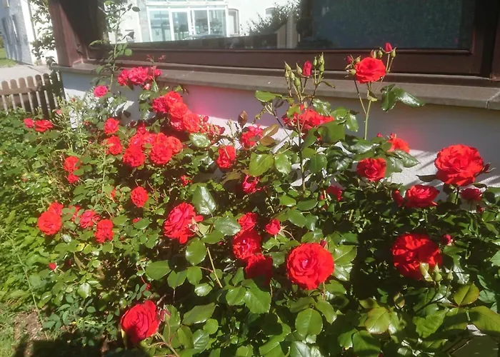 Garni Demmel فندق