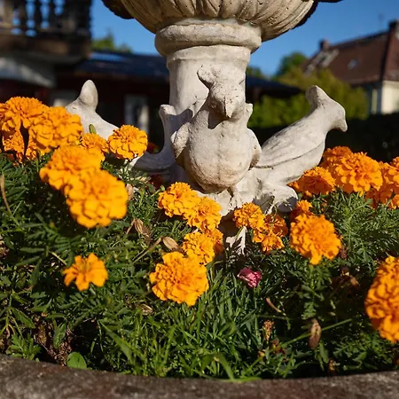加尼德梅尔酒店 3*